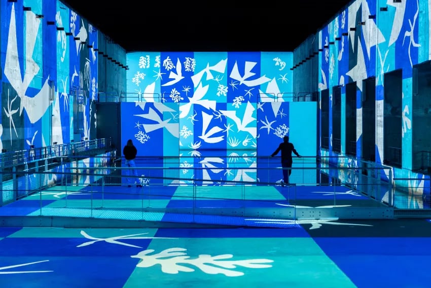 Matisse: A Symphony of Colors 5